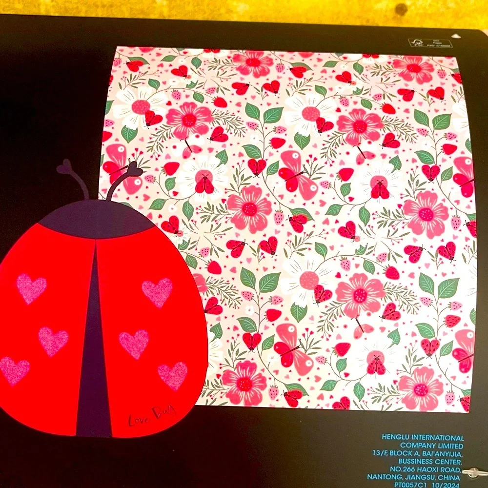 Cynthia Rowley cynthia rowley